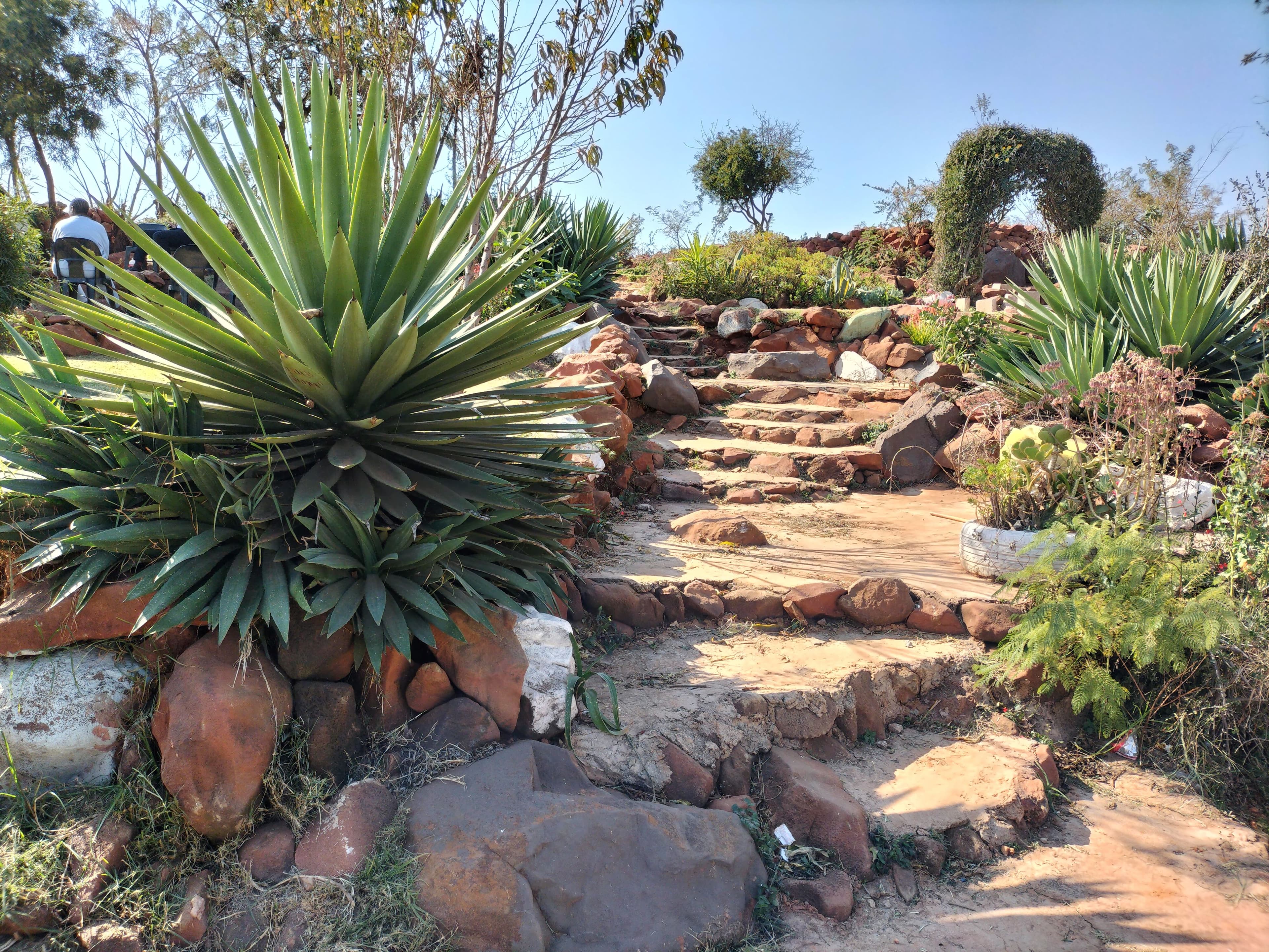 Orange Farm Eco Park youth initiative led by Nelsons and volunteers