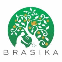 Brasika logo