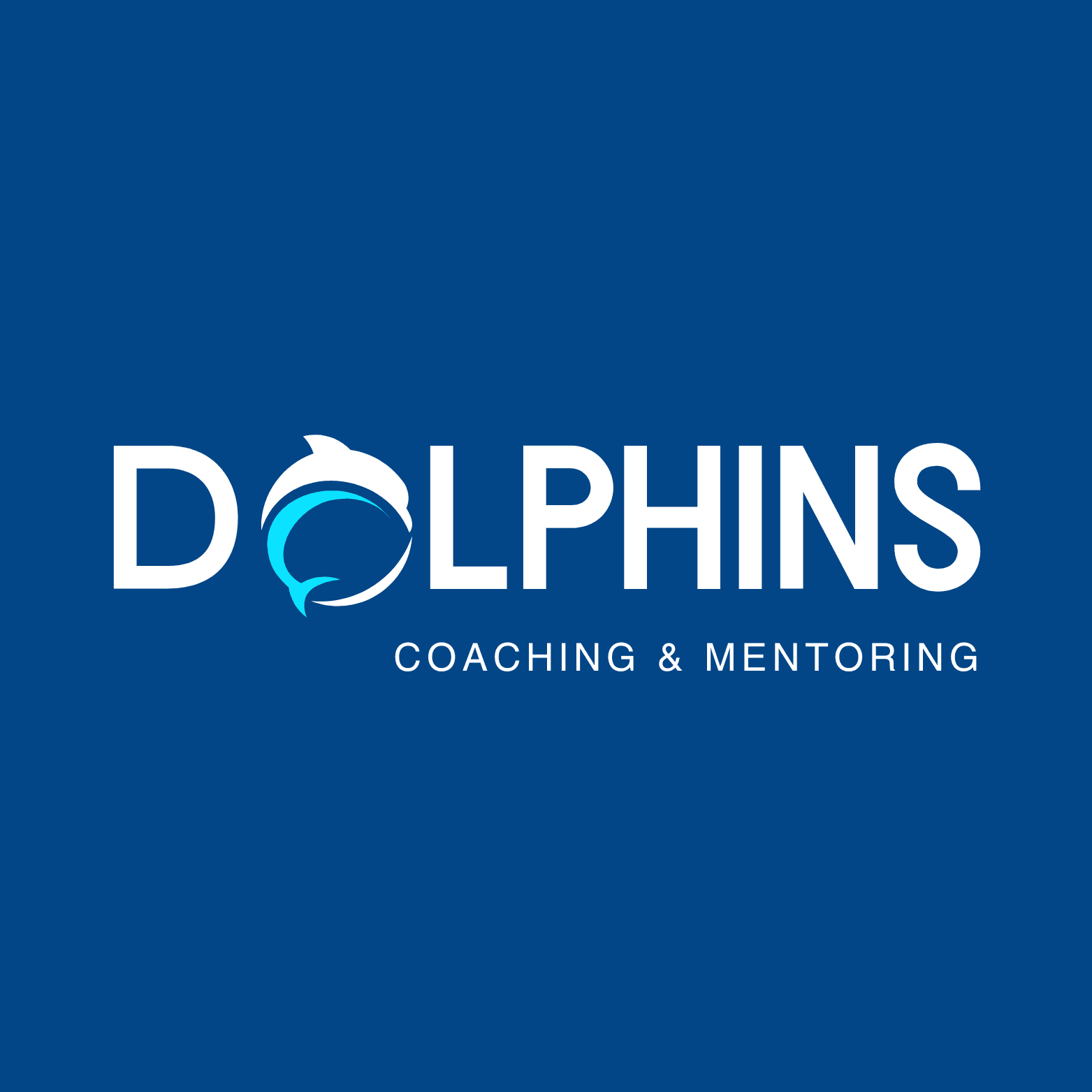 Dolphins Mentorship Network branding and international coaching atmosphere